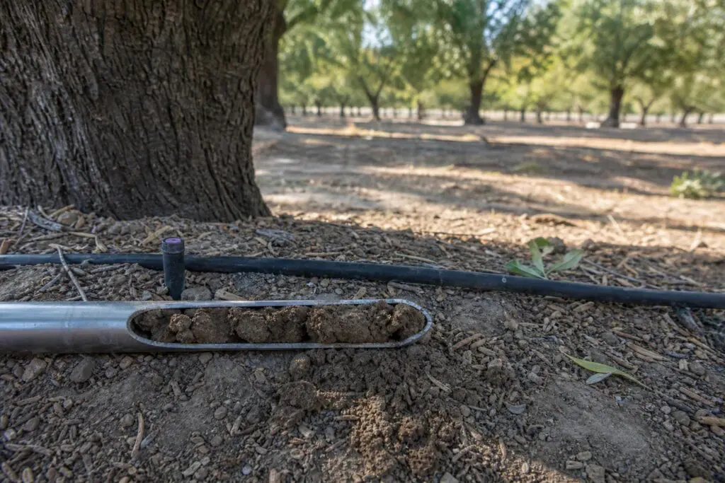 Soil auger and irrigation tubing beside a tree in a generic California orchard.