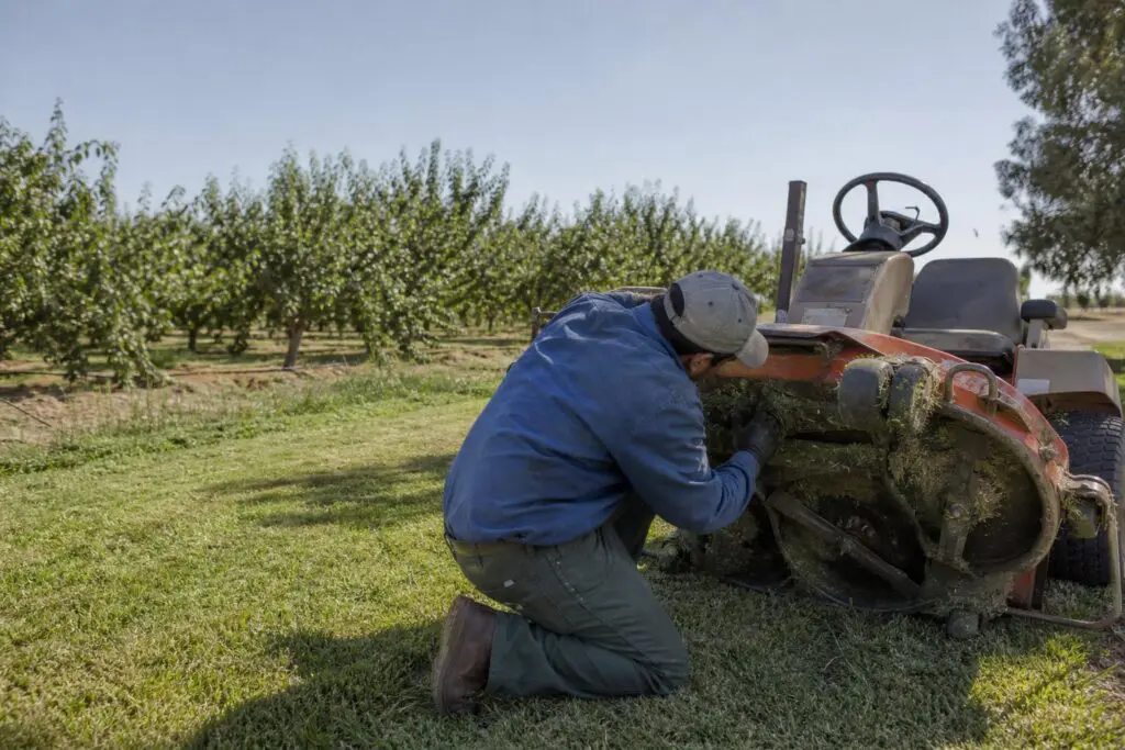 Worker inspecting a mower beside grass at a small orchard edge.