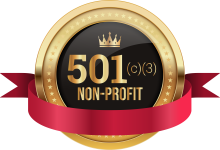 501c3 non profit medal